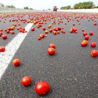 TomatoesOnRoad